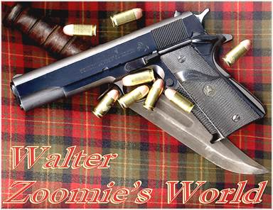 blog title image guns (blogsport de Walter Zoomie)